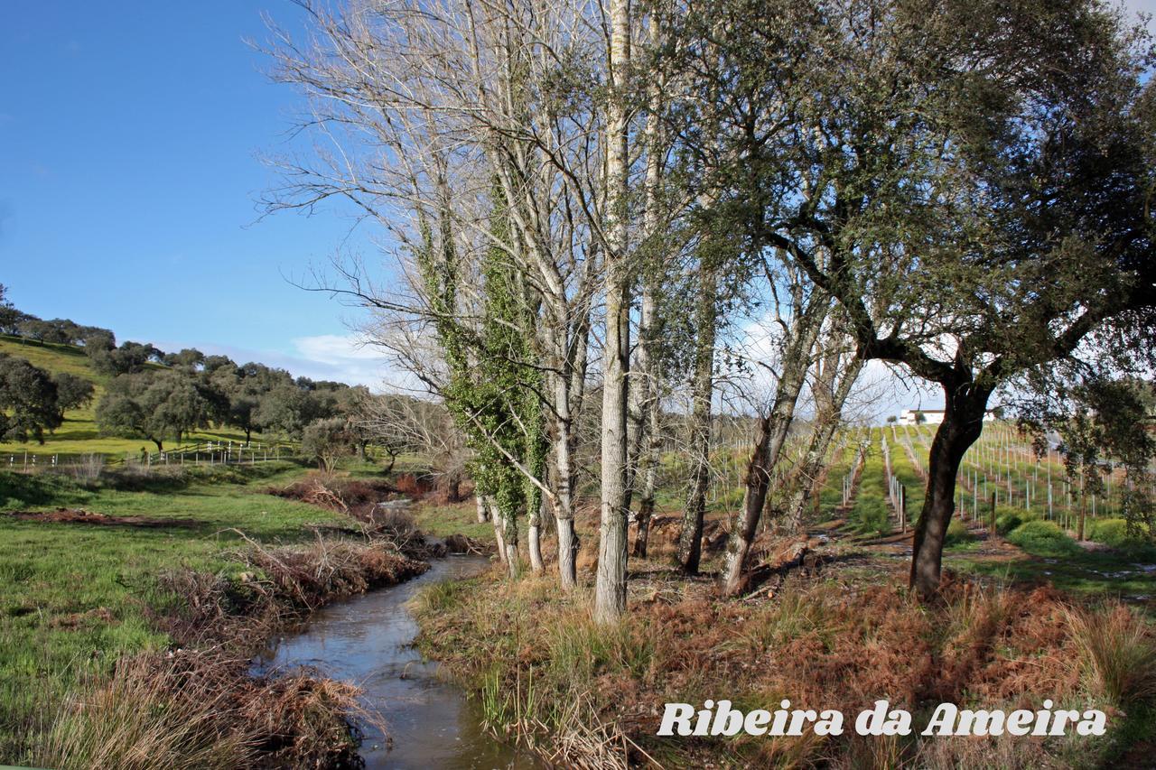 Hotel Rural da Ameira Montemor-o-Novo Bagian luar foto